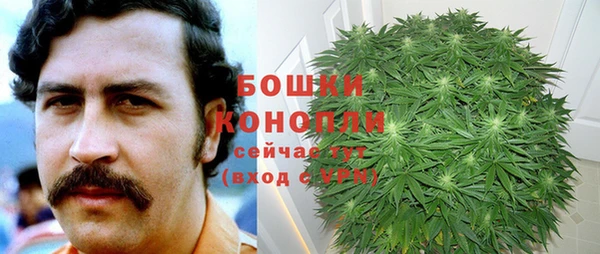 винт Арсеньев