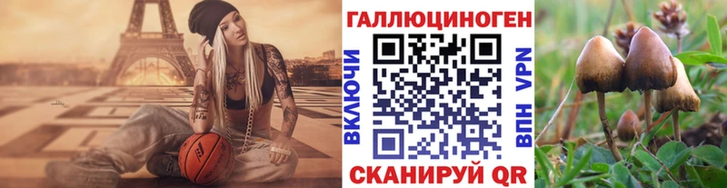 Псилоцибиновые грибы мицелий  Одинцово 