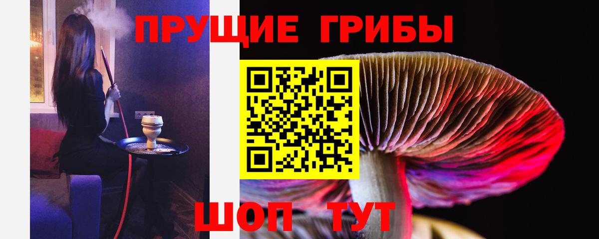 Галлюциногенные грибы MAGIC MUSHROOMS Одинцово